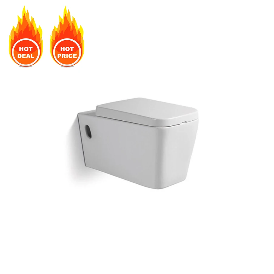 Sanitary Wares Manufacturer Ceramic Rimless One Piece Wall Hung Installation Seat WC Toilet