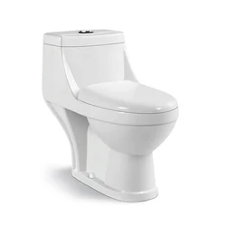 High Quality Luxury Sanitary Ware Black Bathroom Wc One Piece Colorful Ceramic Toilets Bowl For Sale
