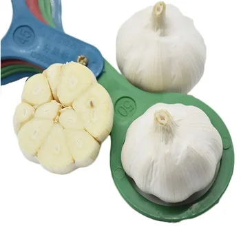 
buy china top quality full size bulk fresh pure white garlic vegetables suppliers 