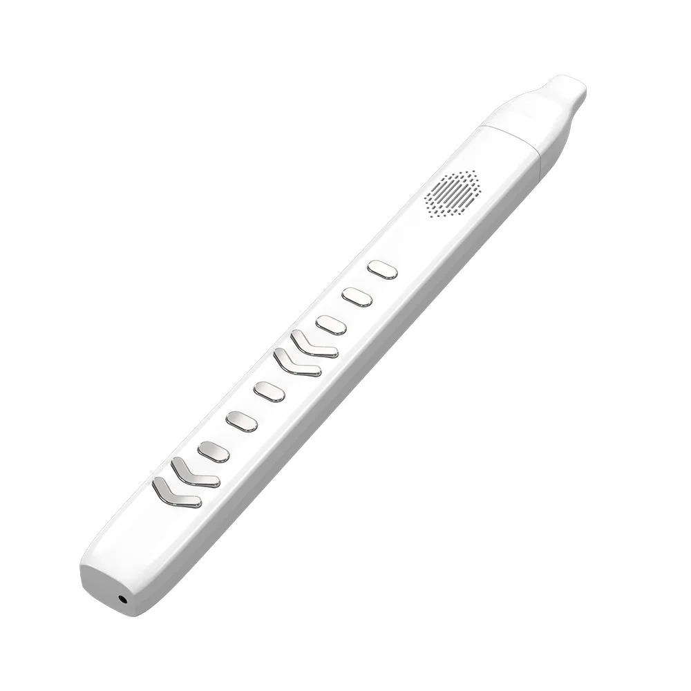 Electronic wind instruments - Elderly people playing saxophone flutes, flutes, vertical flutes, and electric blowpipes