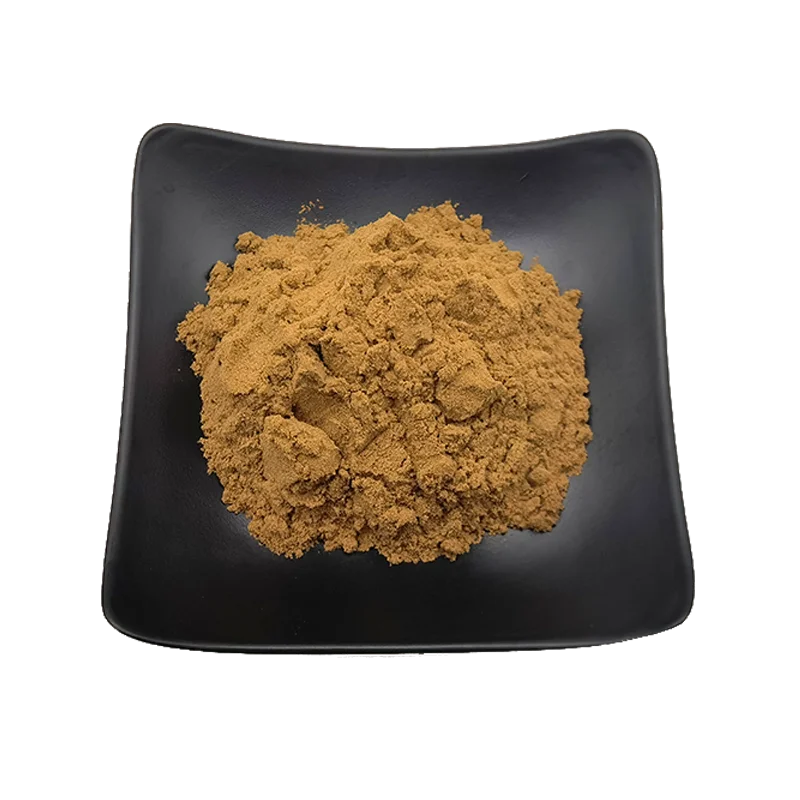 Экстракт травы китайского пустырника Herba Leonurus Cardiaca Leonuri экстракт
