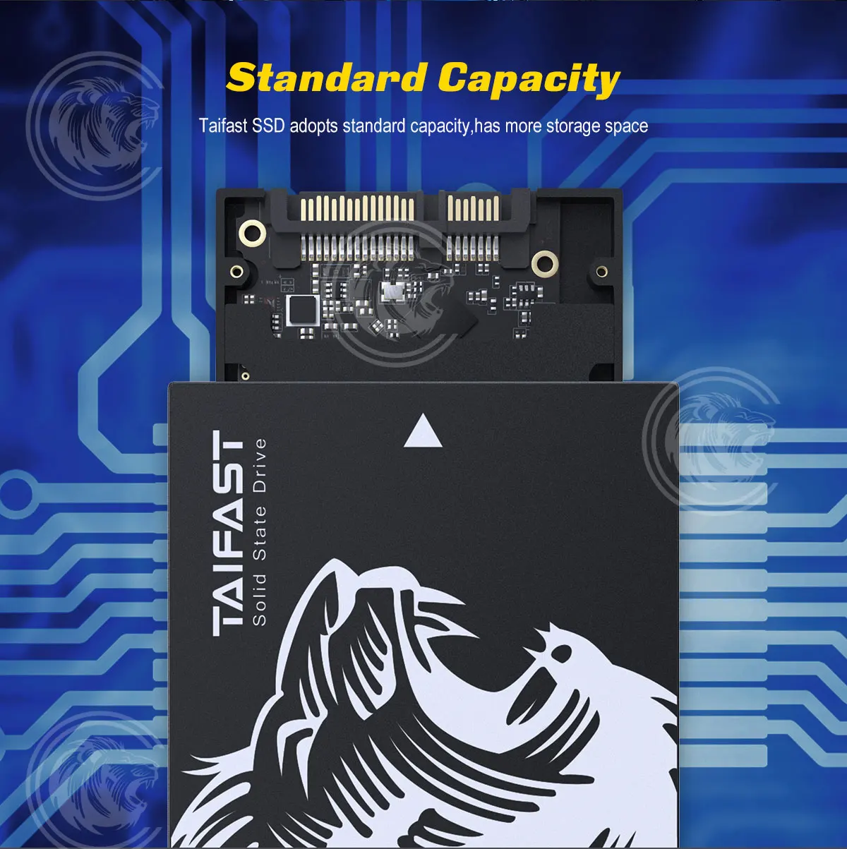 120gb ssd 128gb ssd 240gb ssd 256gb ssd 480gb ssd 512gb ssd 1tb ssd