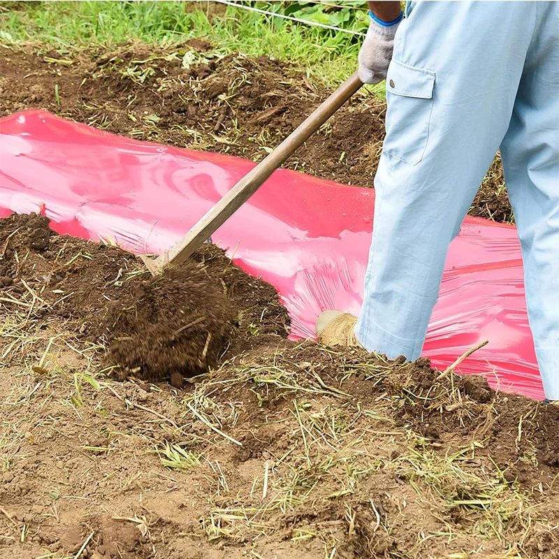 Custom Size UV Resistant Biodegradable Plastic Pink Mulch Garden Film Agricultural