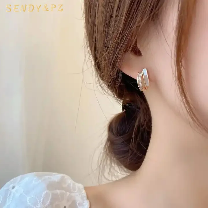 2022 New Jewelry Gift Korean Style Fashion 925 Sterling Silver Needle Earring Elegant Zircon Earrings For Women Earring