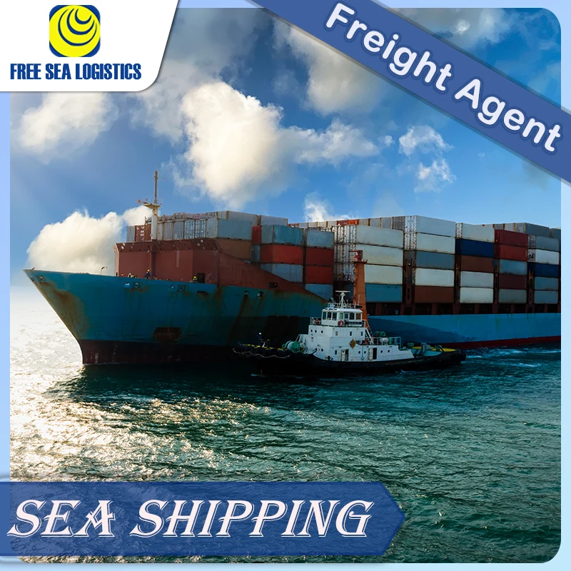 Professional logistics China to Argentina air/sea freight forwarder  door-to-door service DDP