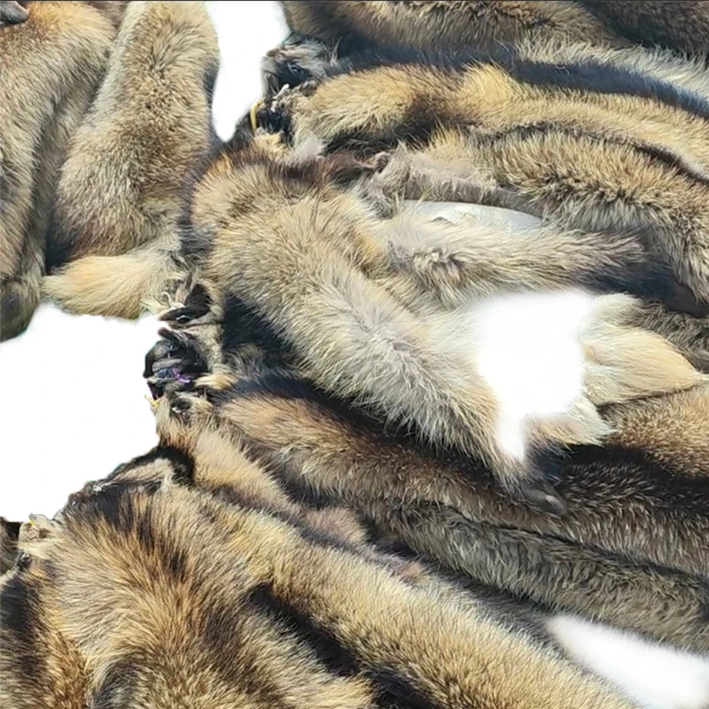 PeltRaccoon PeltRaccoon Fur HideRaccoon  fur wholesale animal furReal soft fluffy raccoon skinRaccoon Fur Skin
