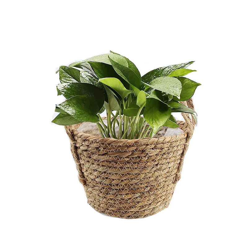 Straw basket A container for a flowerpot for a garden Natural material weaves the flowerpot baskets for potted plants