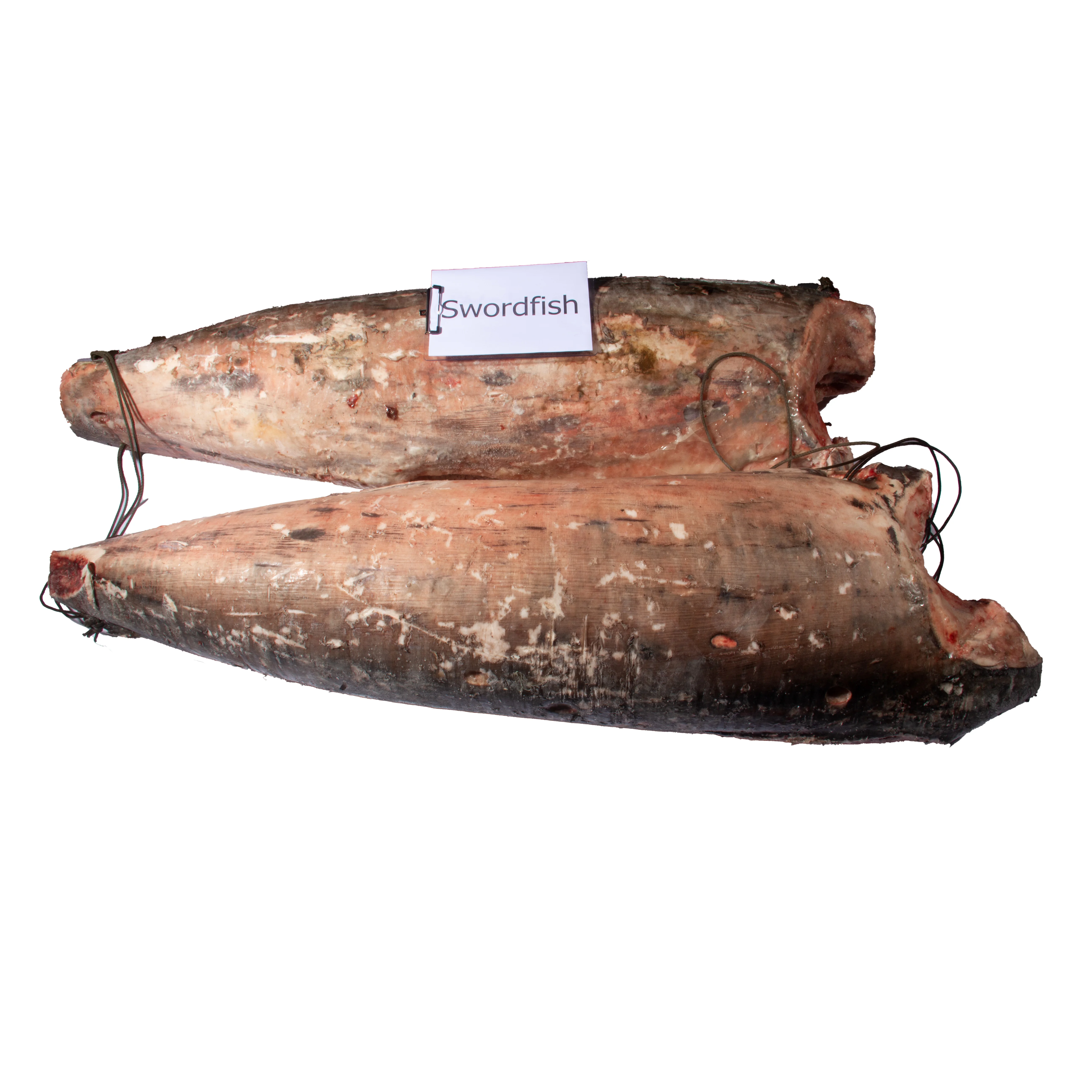 Fengsheng Premium Super Frozen Seafood Whole Dorado Fish Low Fat Swordfish Horse Mackerel