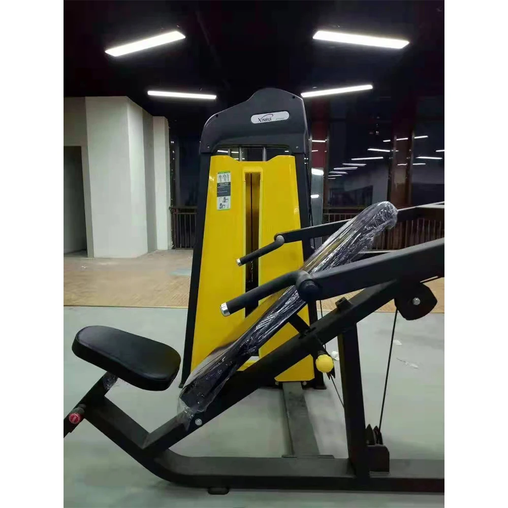 Pin Loaded Back Extension Shoulder Lifter Iso-Lateral Rear Deltoid Trainer Dual Reverse Fly/Rear Delt Training Equipment