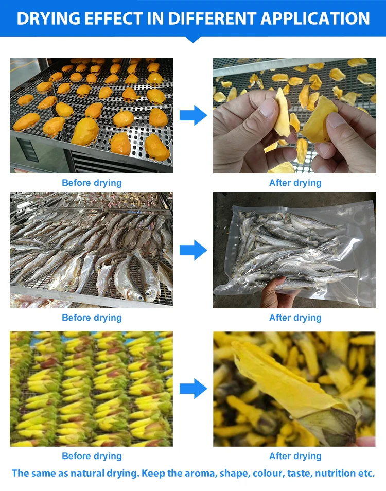 Industrial Dry Fruit Dehydrate Oven Food Chili Fish Betel Nut Drying Machine Charcoal Briquette Pumpkin Sea Cucumber Dryer For