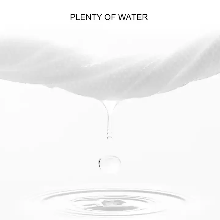 Brand name Free Sample Baby Wipes for baby Disposable Portable Cleansing Wipes Free Alcohol scented Baby Wet Wipes