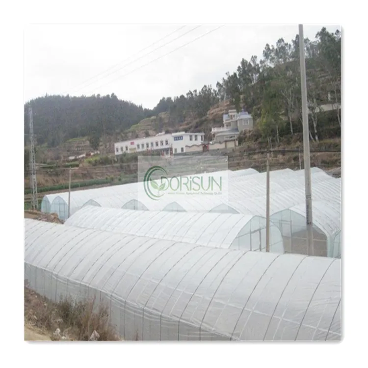 Solar Drying Plastic Sheet Agricultural Hook Green House Machine Speed Reducer Farm Single Span Tunnel Film Greenhouse