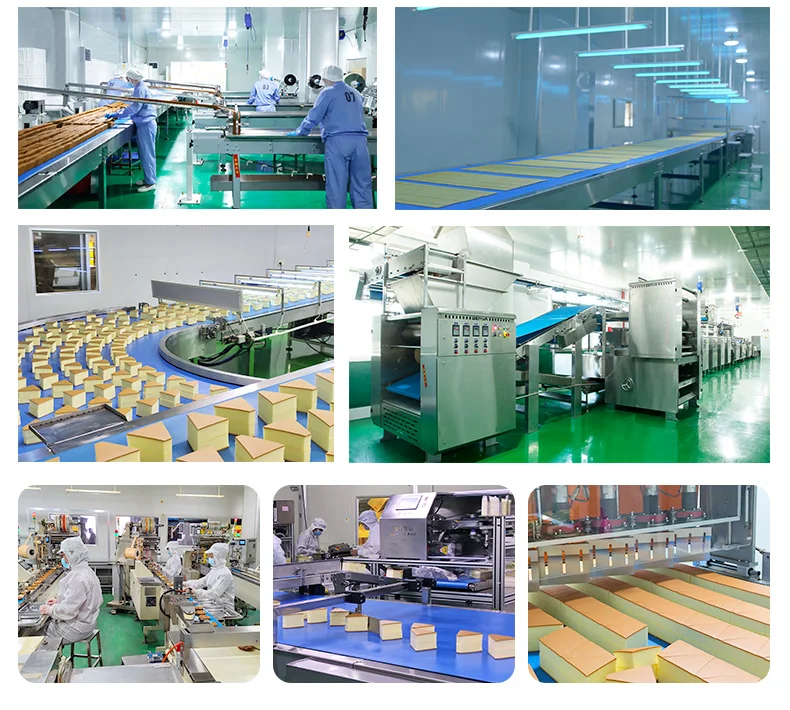 Wholesale Crispy Crackers Leisure Snacks Salt Black Truffle Ham Soda Salty Low Sugar Fat Cookies Biscuits