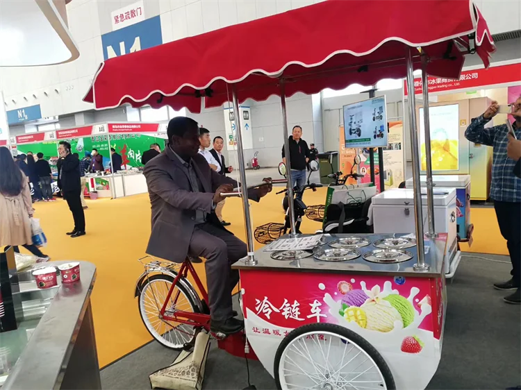Chinese Ice Cream Cargo Tricycle Bike Refrigerator Electric Delivery Tricycle