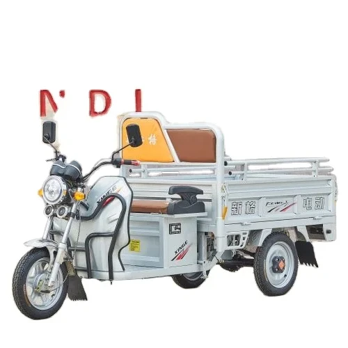 Factory Direct Sales 2023 New Cheap 3 Wheel Electric Cargo Motorcycle Tricycle for Adult Wholesale Cheapest Price