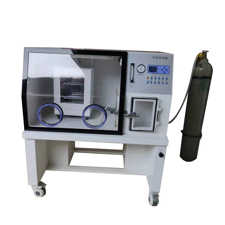 Laboratory Anaerobic Incubator Chamber