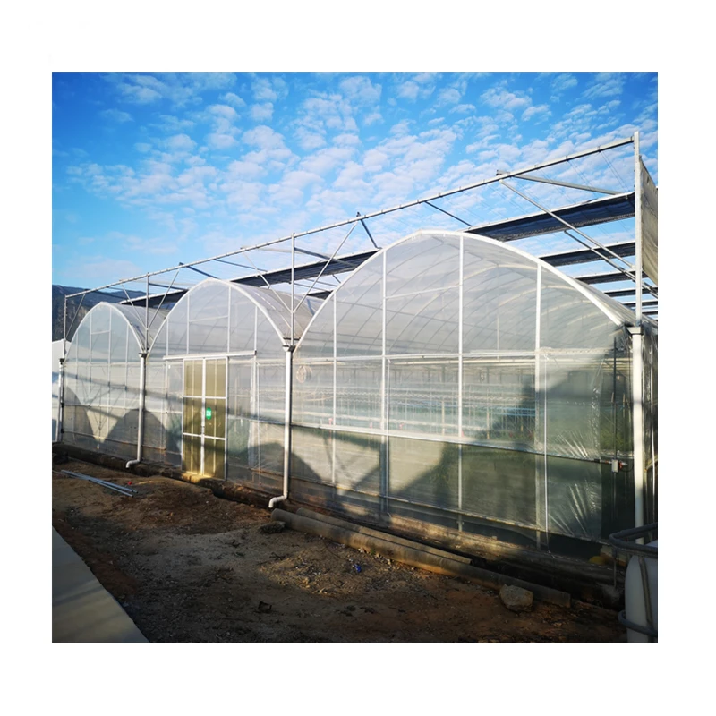 agricultural greenhouses used sale hydroponic system vertical hydroponic system agriculture products