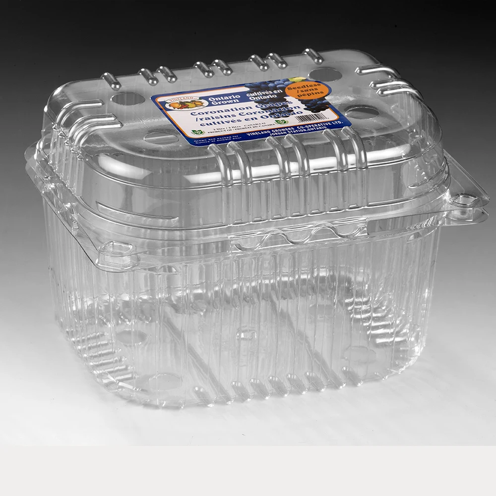 Hotel Buying Request Disposable Plastic Food Container for Fresh Fruit With Lid Biodegradable Plate