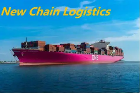 Fastest&Safety Sea Shipping Service USA Ocean Freight Logistics Shipping Company DDU DDP To FBA Amaozn