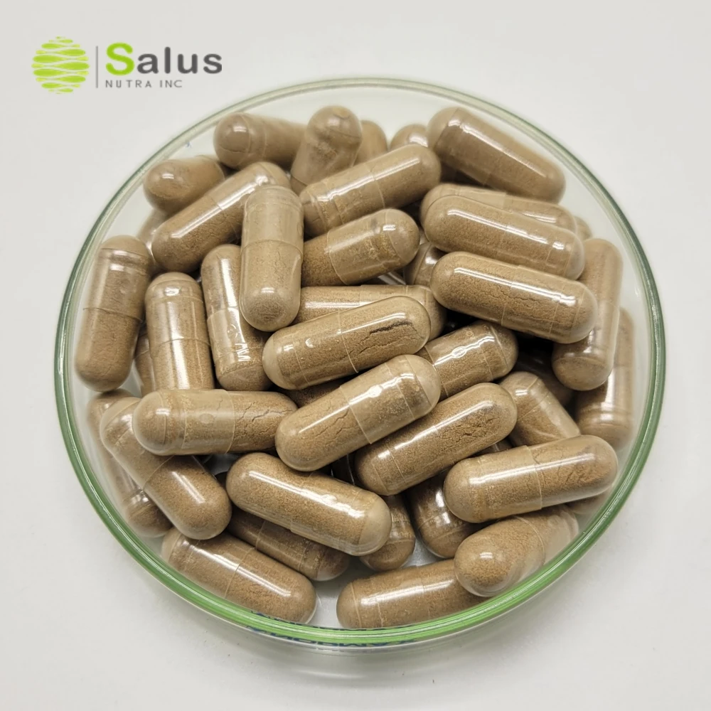 Pygeum Africanum Extract Capsules Pygeum Supplement 500mg 61 Capsules OEM Private Label For Male Prostate Health, Bladder