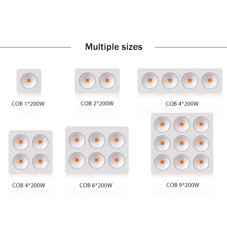 2021 New COB LED Grow Light Full Spectrum 200W Led Grow Light for indoor plants