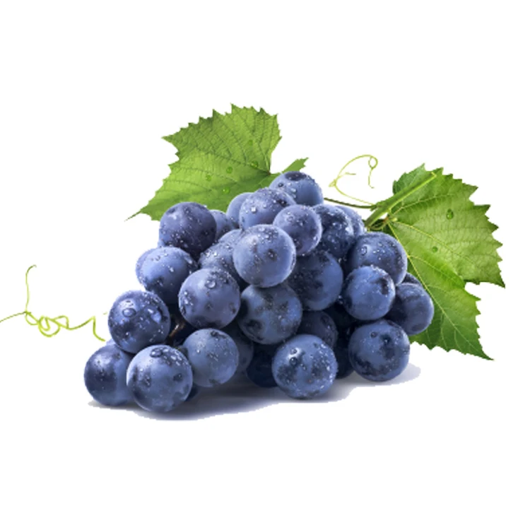 
Wholesale Box Style Storage Packaging Grapes Tree Grape Chile Ruby Roman Grapes 