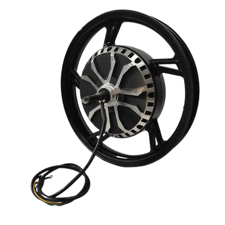  DGWZ 18 inch 48V60V 1000W1500W brushless gearless drum brake hub motor for Modified electric