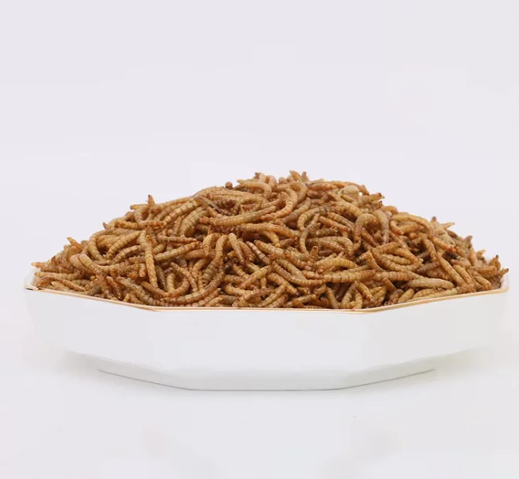All Natural Dry Whitefly Dry Mealworms in Bulk Animal Feed