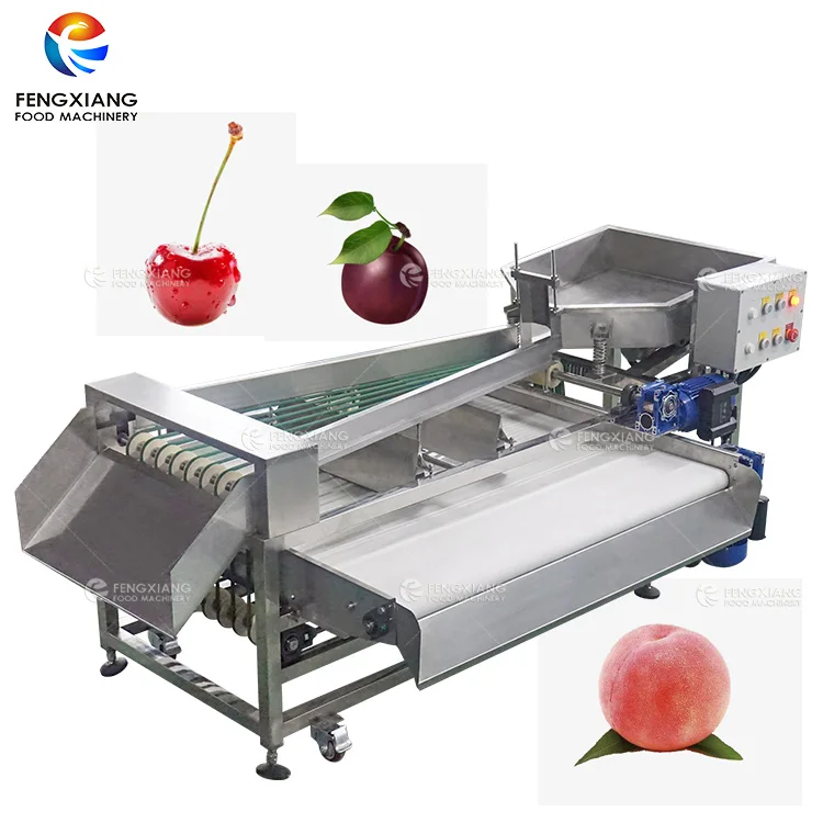 Belt Type Vegetable And Fruit Carrot Classifier Machine Broccoli Sorting Grading Machine
