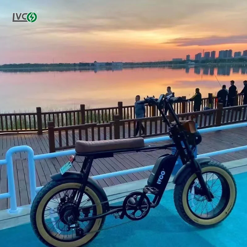 LVCO other ebike electric bike adult bicycle ebike with bafang motor electric road bike