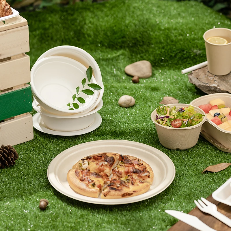 Custom 100% Compostable 9 10 Inch Round Heavy Duty Plates Sugarcane Paper Plates 3 Compartment Eco-friendly Disposable Camping