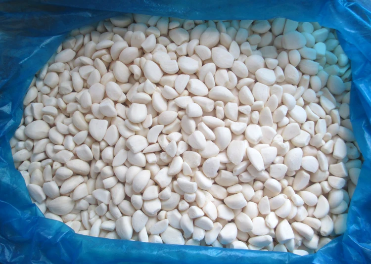 China Bulk Wholesale Distribute IQF frozen sliced garlic