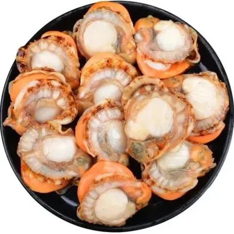 High Quality Factory Prices  Frozen Scallop Meat