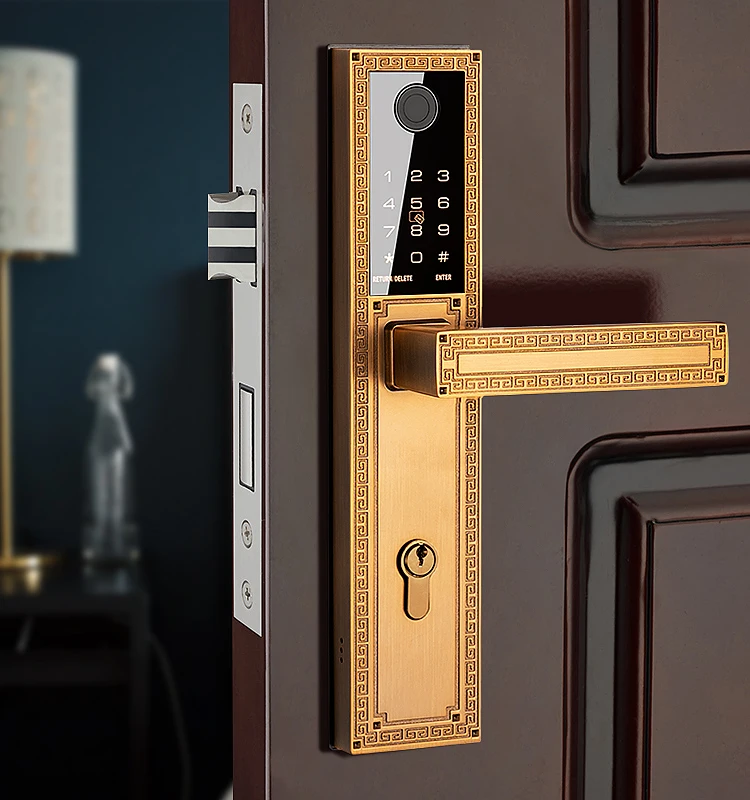 Hotel Smart Door Lock for Passwords App Vintage Style Keyless Euro Cylinder Smart Lock