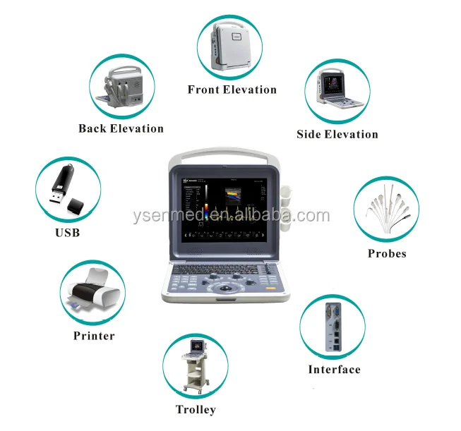 YSB-K2000V PET 4D Color Doppler sheep ultrasound pregnancy scanning double probe ultrasound ultrasound machine pigs sheep dogs