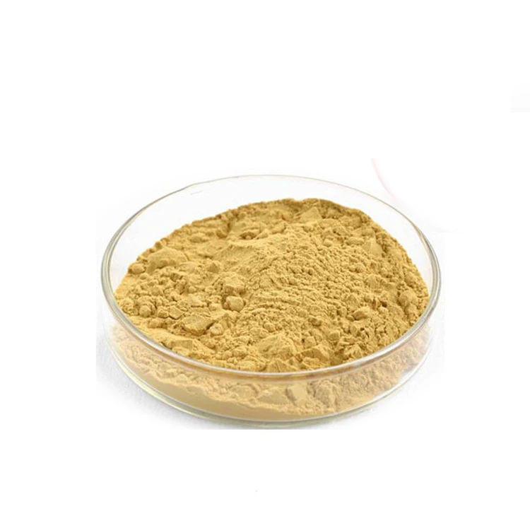 Ingredient 10:1 20:1 Panax Ginseng Extract Powder