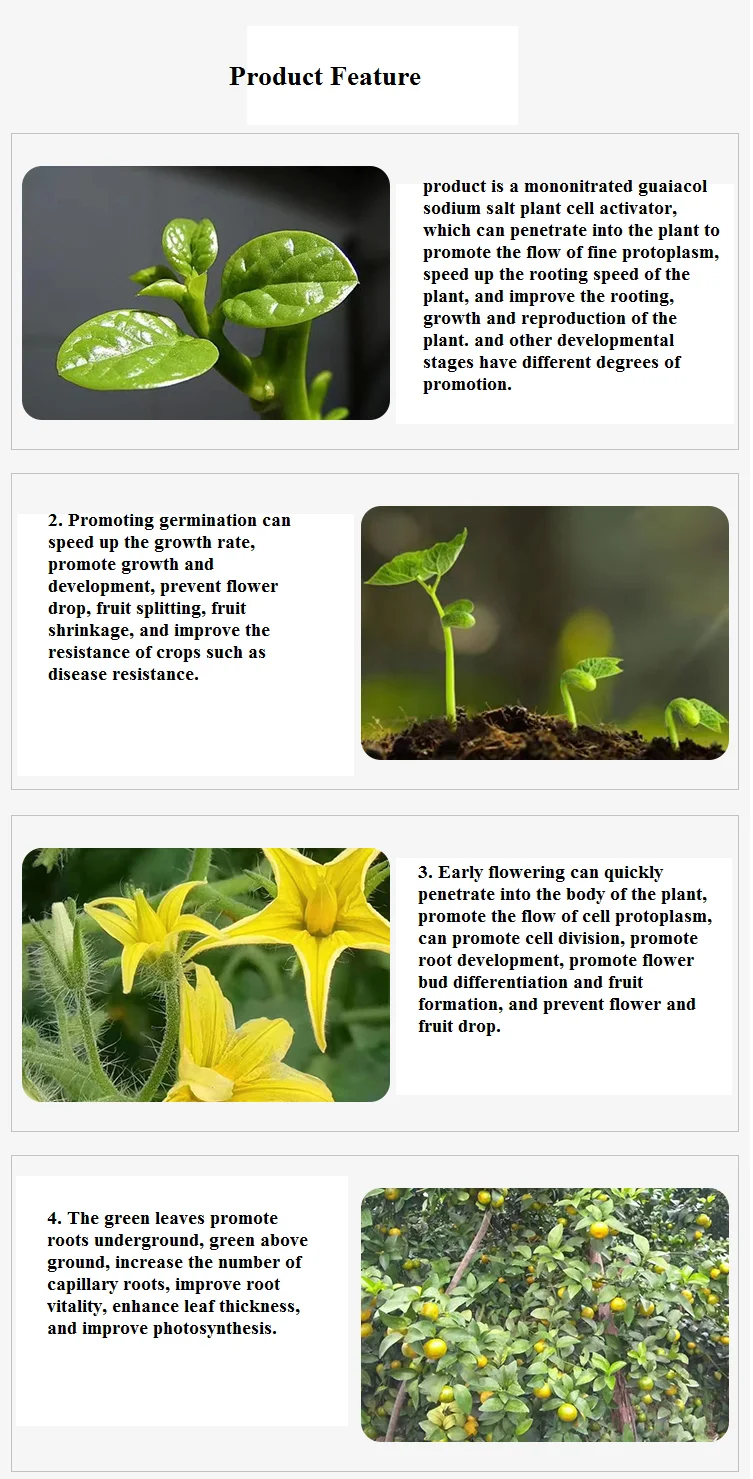 Нитрофенолат натрия Atonik 98% TC 1.8%, регулятор роста растений