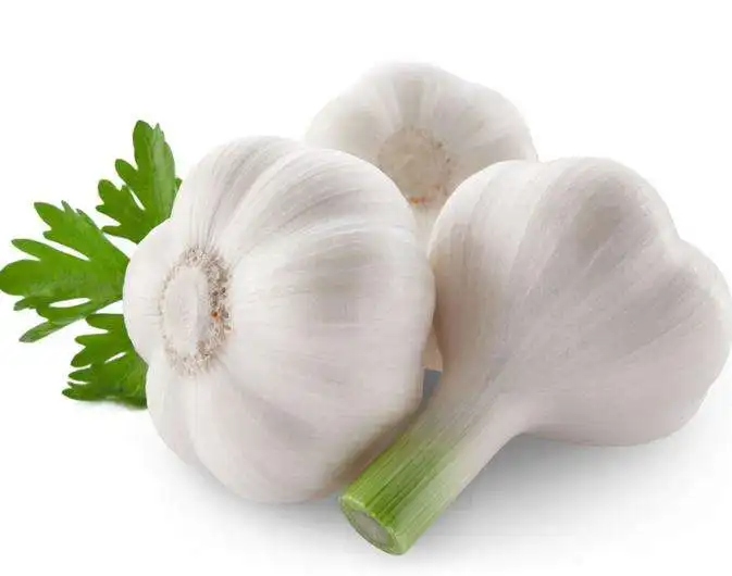 Chinese fresh white garlic with factory prices