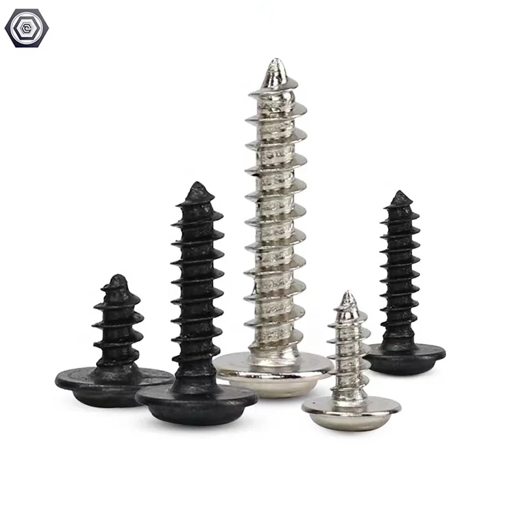 Stainless Steel Cross Round Head Pan Head Self Tapping Screws and Phillips Drive Self Tapping Cap Screws