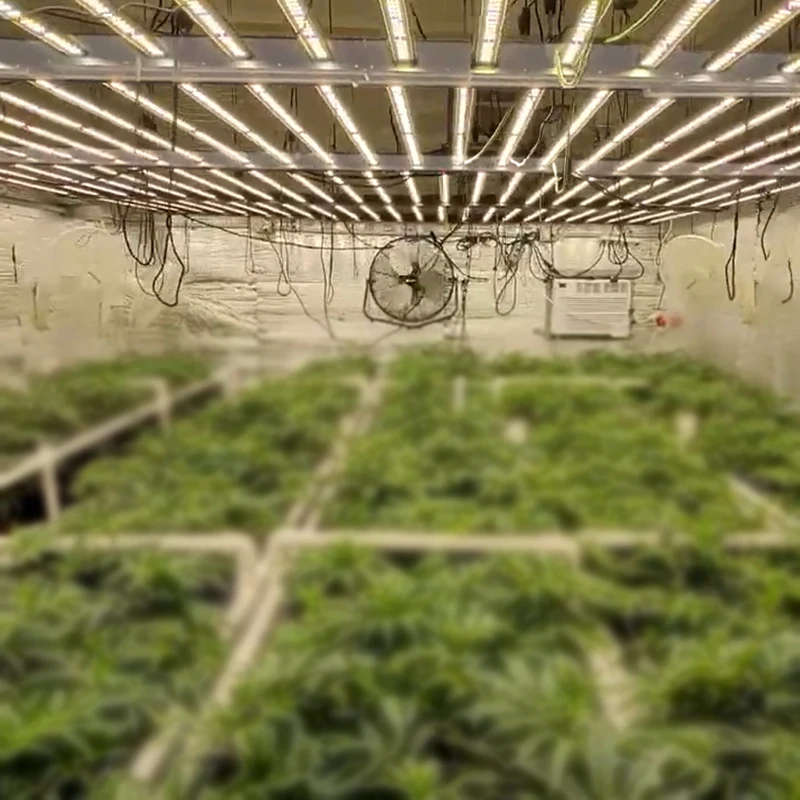 hydroponic 720w led grow light horticulture for indoor cultivation hydroponic growing systems