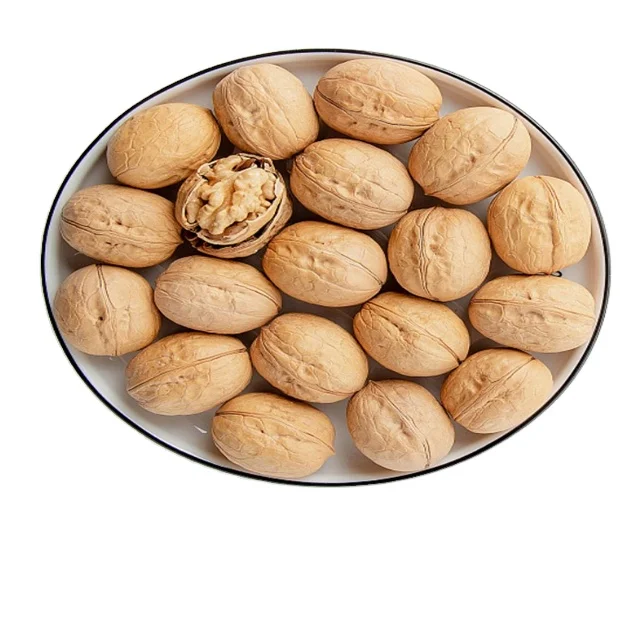 1/6 отличного качества с тонким слоем кожи сырой грецкий орех с оболочкой в оптовым ценам