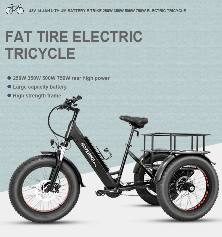 Manufacturer Supplier Electric Tricycle 500W 750W Motor tricycle bike electro 3 Wheel Electric Cargo Bike For Adults