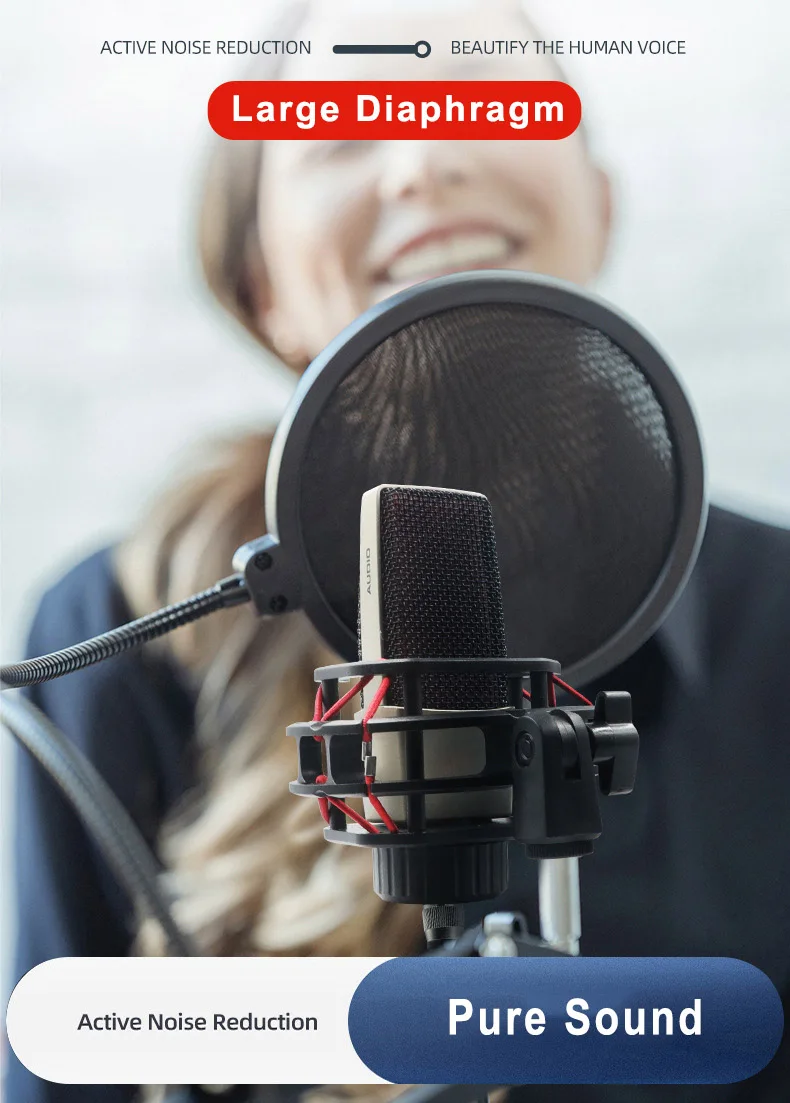 Professional Studio Recording Condenser Microphone with Cardioid Large Diaphragm Shock Mount for Broadcasting Live Stream Online