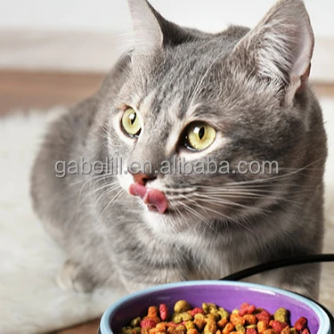 Cat nutrients vitamins