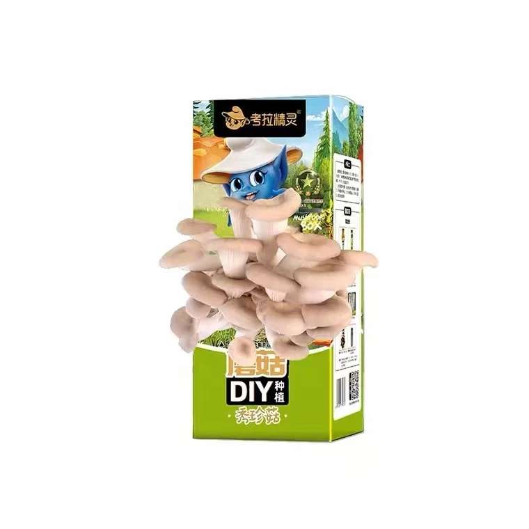 YINING Grow Your Own Mushrooms Mushroom Growing Kit