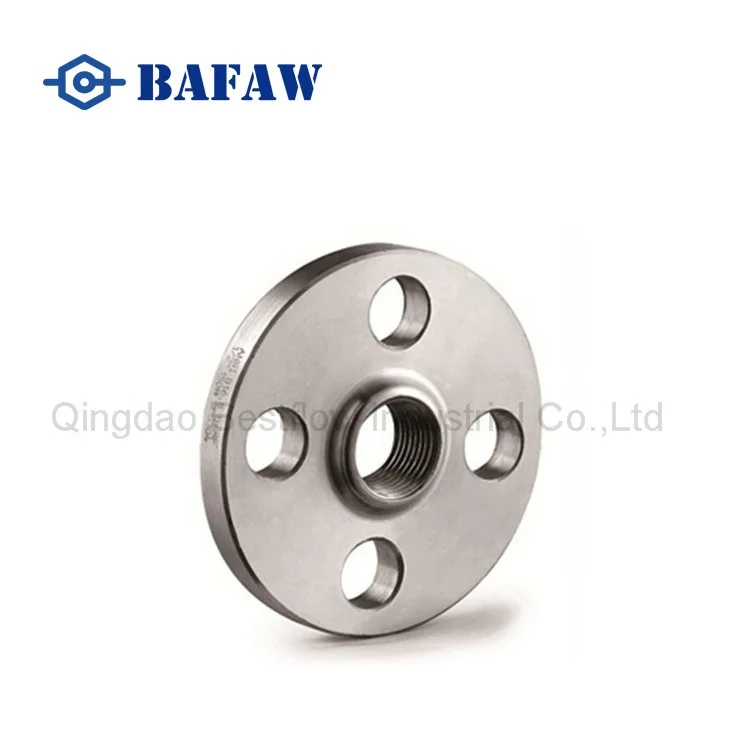 Stainless Steel 304 316L Threaded Flange