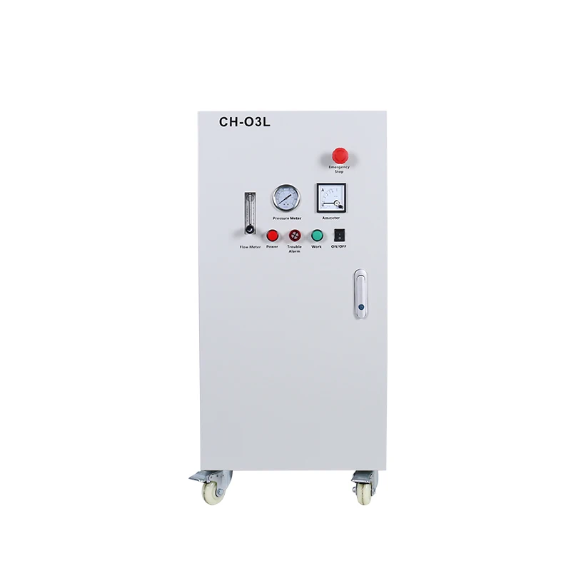 Chuanghuan 10L oxygen generator with oil-free air compressor complete oxygen concentrator for ozone machine