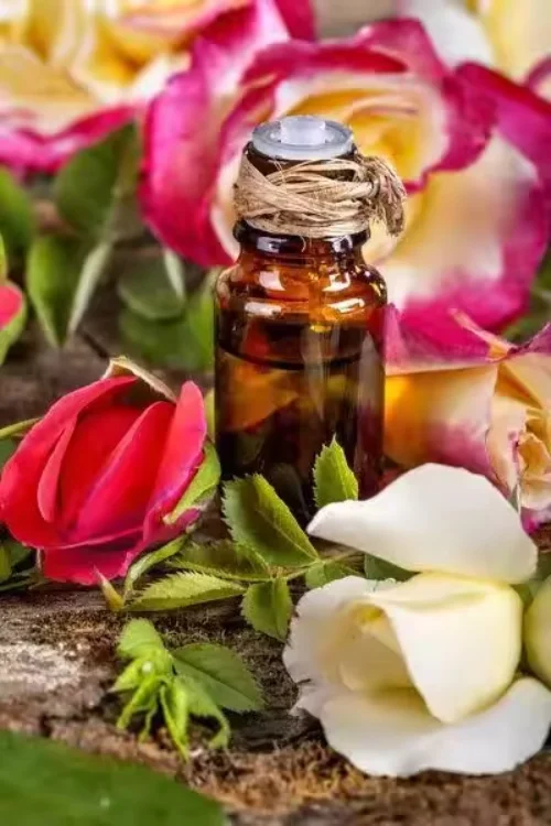 Wholesale 100% Natural Rose Essential Oil Bulk Price High Purity Organic Rose Flower Essential Oil for 200L Drum Package