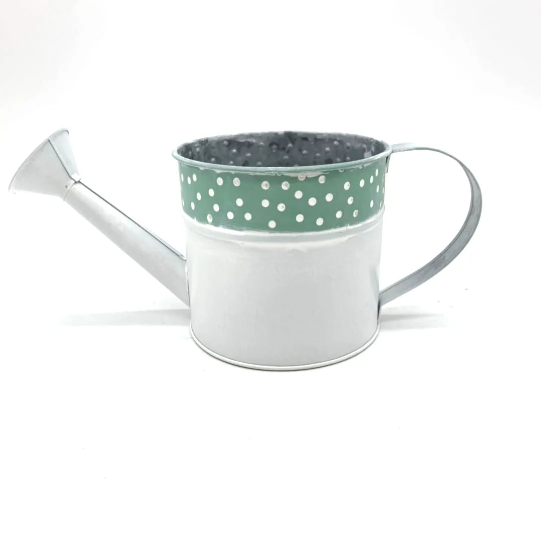 garden doll house long spout elephant for indoor plants gardening unique small modern mini metal watering can