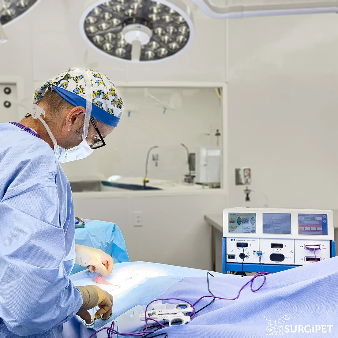 Surgical Instruments Ligasure Forceps Electrosurgical Generator Ligasure Vessel Sealing Ligasure Instruments